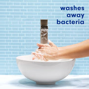 Softsoap Eucalyptus Sea Salt / 11.25 Fl Oz (Pack of 6) / Cooling Eucalyptus & Sea Salt Hand Wash