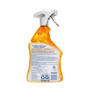 Lysol 32 Fl Oz (Pack of 2) / Mango and Hibiscus / Mango All-Purpose Cleaners