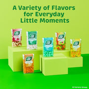 Tic Tac Fruit Adventure / 1.7 Ounce (Pack of 12) / Various Mints