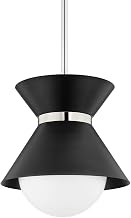Troy-Standard F8620-SBK/PN Scout - 1 Light Pendant 24.25 inches Tall and 20 inches Wide - Soft Black/Polished Nickel