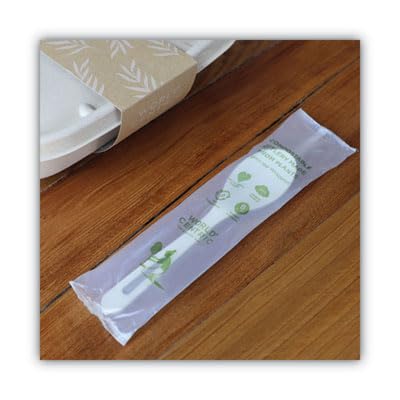 World Centric SP-PS-I Compostable TPLA 6" Spoons – Individually Wrapped (Pack of 750)