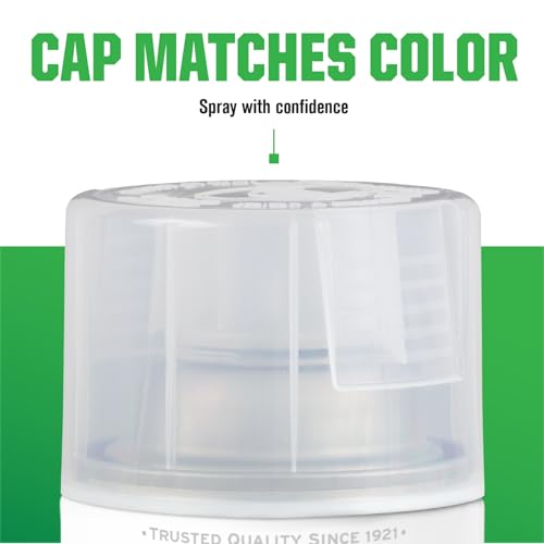 Rust-Oleum Clear / 11 Ounce (Pack of 6) / 1 Spray Paint