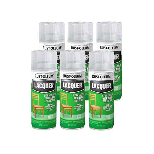 Rust-Oleum Clear / 11 Ounce (Pack of 6) / 1 Spray Paint