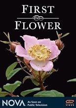 NOVA: First Flower
