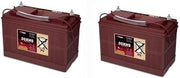 Tennant T3 20 in (50CM) PAD ASSISTFAST 24 Volts 2-Pack