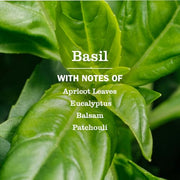 Mrs. MEYER'S Basil / 16 Fl Oz (Pack of 1) / Standard Packaging All-Purpose Cleaners