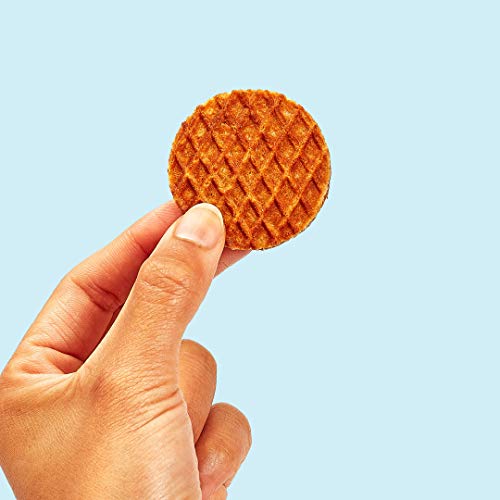 Rip Van Wafels Dutch Caramel & Vanilla / 0.28 Ounce (Pack of 128) / 128 Wafers