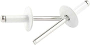 Allstar Performance 18158 LG HD RIVET WHITE ALUM