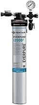 Everpure EV932401 Water Purification Unit, 18"L x 18"W x 21"H, Aluminum, Automatic Shut-Off