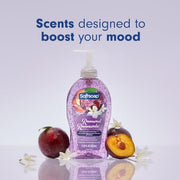 Softsoap 11.25 Fl Oz (Pack of 6) / Renewed / 6 Hand Wash