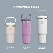 IceFlow Flip Straw Tumbler with Handle 30 oz | Twist On Lid and Flip Up Straw | Leak Resistant Water Bottle | Insulated Stainless Steel |BPA-Free | Pomelo by STANLEY – Model