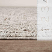 Abani Beige / 6' x 9' (Rectangular) / Oriental & Vintage Area Rugs
