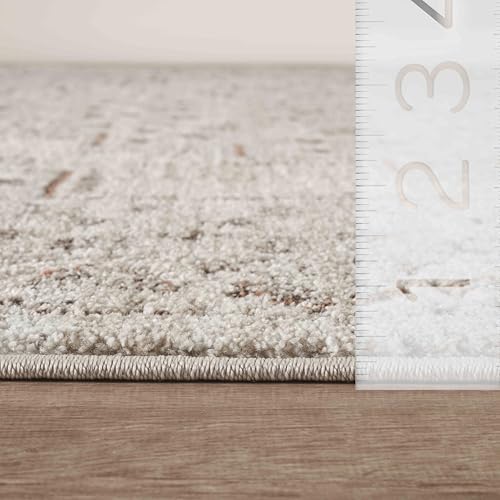 Abani Beige / 5' x 8' (Rectangular) / Oriental & Vintage Area Rugs