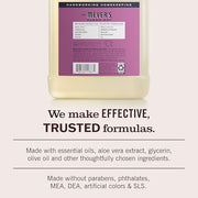 Mrs. MEYER'S 33 Ounce (Pack of 6) / 무색 / 1 Hand Wash
