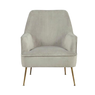 Velour-Upholstered Accent Chair with Solid Rubberwood Frame by Starlight Canyon Home – Velour Fabric with Rubberwood Solid Frame, Grey