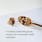 Nature's Path Pumpkin Raisin Crunch / 12.3 Ounce (Pack of 12) / Flax Pumpkin Raisin Crunch Cold Cereal