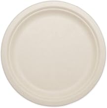 World Centric Wheat Straw/Bagasse Compostable 10-Inch Fiber Plate, 800 ct