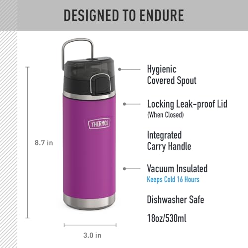 THERMOS Plum / 18 Ounces / 18.0 fluid_ounces Thermoses
