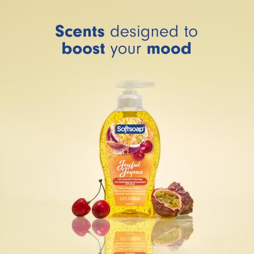 Softsoap 11.25 Fl Oz (Pack of 6) / Joyful / 6 Hand Wash