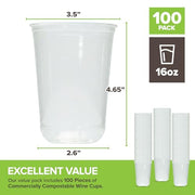 Stock Your Home 16oz / 100 / Clear Cups