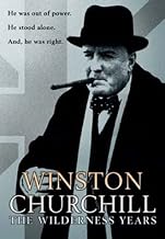 Winston Churchill - The Wilderness Years