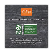 World Centric SP-PS-I Compostable TPLA 6" Spoons – Individually Wrapped (Pack of 750)