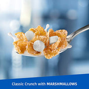 Kellogg's Frosted Flakes Frosted Flakes w Marshmallows / 13.6 Ounce (Pack of 1) / 1 Breakfast Foods