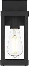Peter One Light Outdoor Wall Sconce Black