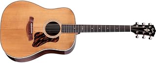 Taylor Gold Label 710e Acoustic-Electric Guitar