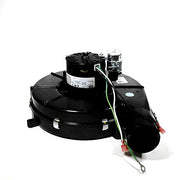Motor, 3 3 8 Diameter, 208-230 Volt by Fasco – Black, Model A171