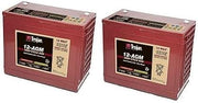 Tennant Speed Scrub 300 24 Volts 2-Pack