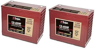 Tennant Speed Scrub 300 24 Volts 2-Pack