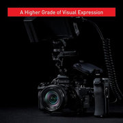Panasonic w/ 20-60mm & 50mm / Black / Full-Size Mirrorless Cameras
