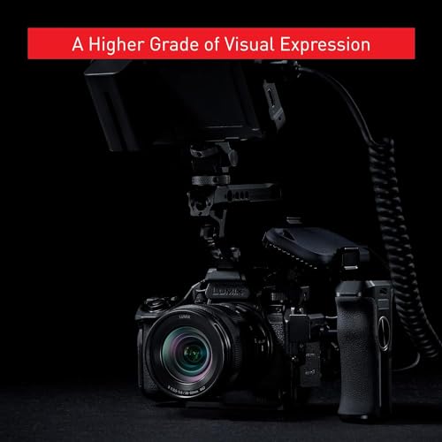 Panasonic w/ 20-60mm & 50mm / Black / Full-Size Mirrorless Cameras
