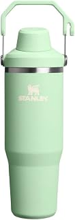 STANLEY IceFlow Fast Flow Tumbler with Handle 30 oz | Twist On Angled Spout Lid | Leakproof Water Bottle | Insulated Stainless Steel | BPA-Free | Pistachio Green