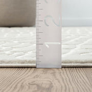 Abani 2' x 3' (Rectangular) / Cream / Modern Area Rugs
