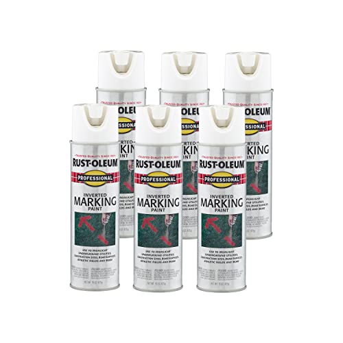 Rust-Oleum 15 Ounce (Pack of 6) / White / Gloss Spray Paint