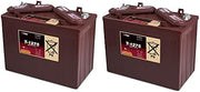 Replacement for Tennant T300E 24 Volts 2 Pack