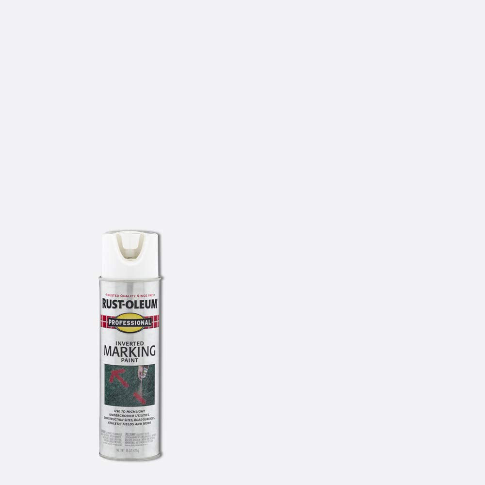 Rust-Oleum 15 Fl Oz (Pack of 1) / White / 1 Spray Paint