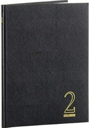 Wilson Jones WLJ74102-2-Column Columnar Book