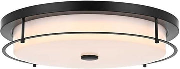 Kolson 20" Led Flush Mount in Black