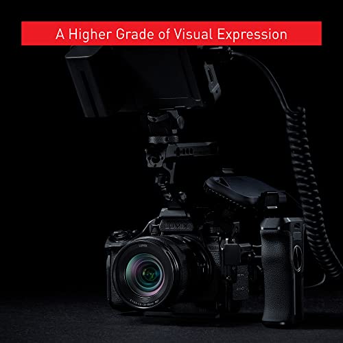 Panasonic Body Only / Black / 3.55 x 5.29 x 4.03 inches Mirrorless Cameras