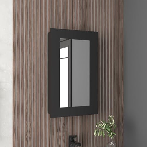 Tuhome Black Wenge / unspecified / Modern Medicine Cabinets
