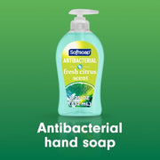 Softsoap Fresh Citrus / 11.25 Fl Oz (Pack of 6) / Blue Hand Wash