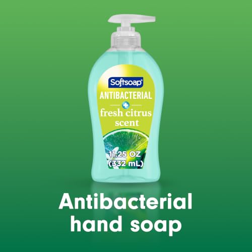 Softsoap Fresh Citrus / 11.25 Fl Oz (Pack of 6) / Blue Hand Wash