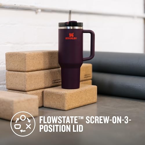STANLEY Plum / 39.9 Ounces / Core Tumblers