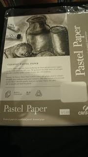 Canson Pastel Paper 8.511, 98lb 12 loose sheet pack