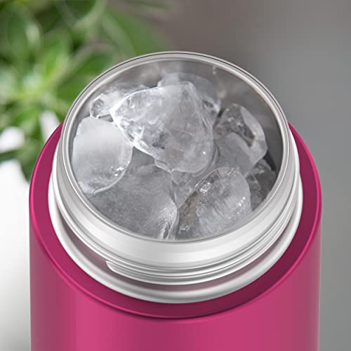 THERMOS Aubergine / 12 Ounces / 12.0 ounces Thermoses