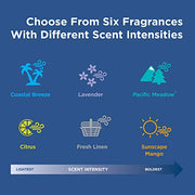 Georgia-Pacific Stainless / 1 Count (Pack of 1) / 1 Air Fresheners