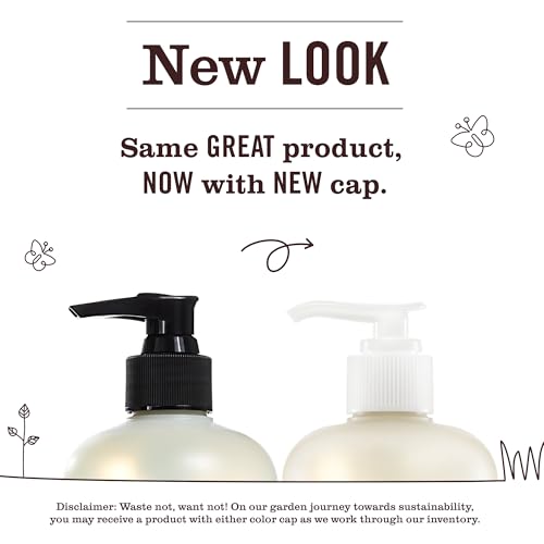 Mrs. MEYER'S Rain Water / 12.5 Fl Oz (Pack of 1) / White Hand Wash